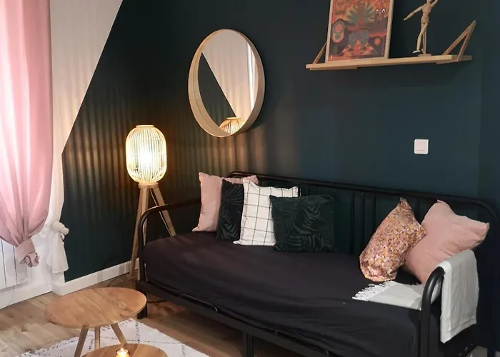 Διαμέρισμα Charme Et Confort En Plein Centre Historique Ναντ